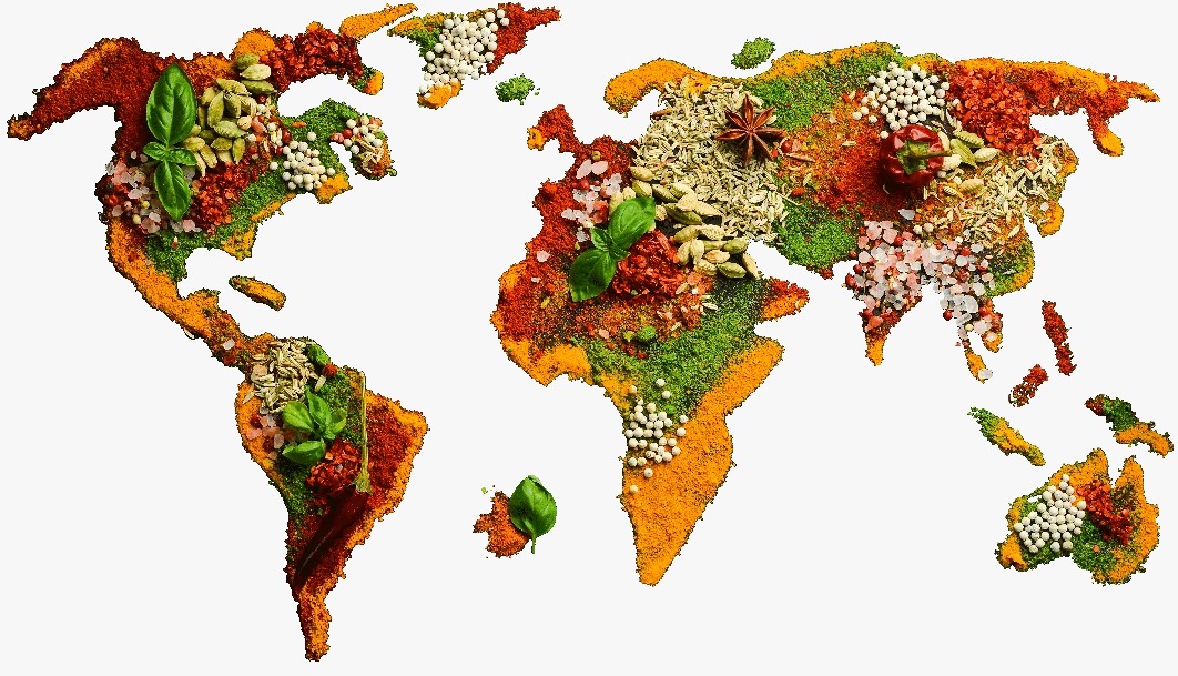 Vision Exim spice and export operations